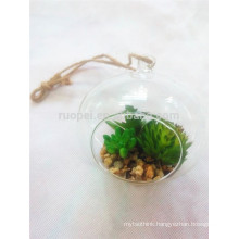 2015 beautiful plastic mixed potted green succulent plant with round glass